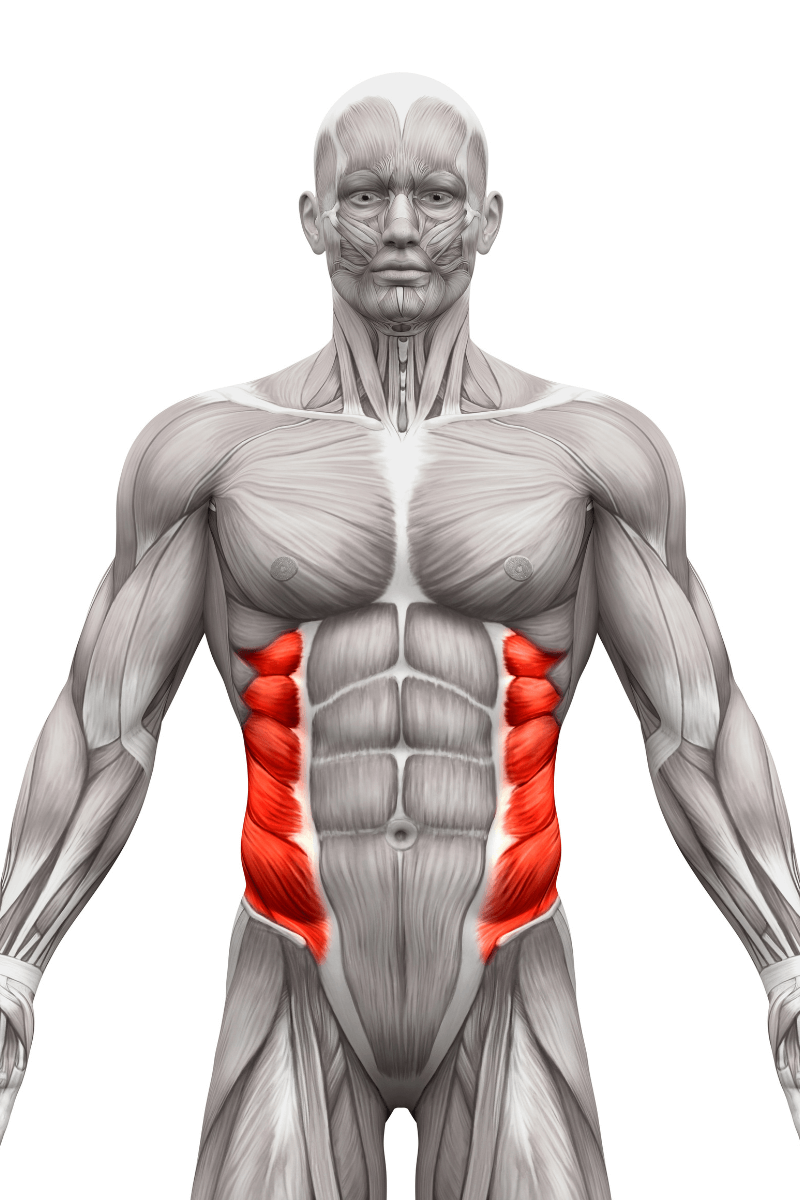 What Is My Core? Reasons You Should Engage It Regularly