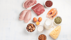 From above, a variety of protein sources, including meat, nuts, and dairy.