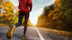From the ground, a runner running on a road through the woods.