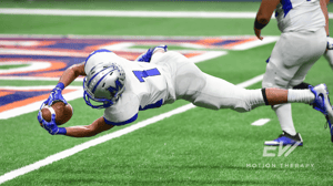 A football player dives into the end zone for a touchdown.