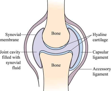 general joint structure