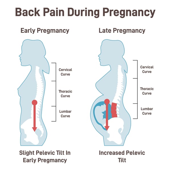 pregnant spine